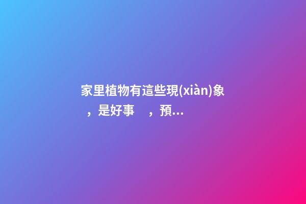 家里植物有這些現(xiàn)象，是好事，預(yù)示你家要發(fā)大財(cái)了！